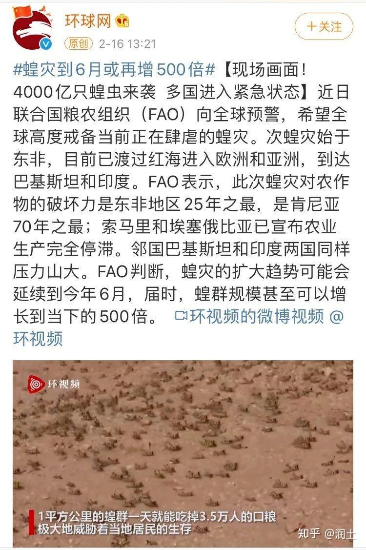 蝗虫最新动态与小巷中的绿色美食秘境