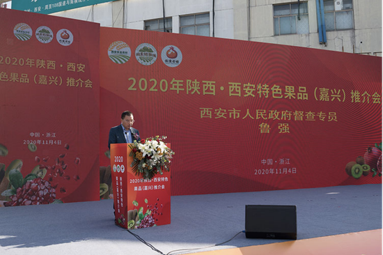 西安鲁强最新日常，趣事连连，友情与温馨的纽带